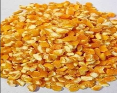 Broken Maize for sale in Mumbai Suburban
