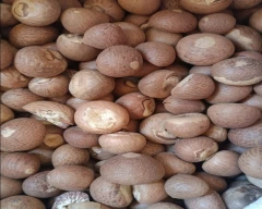 Rashi Arecanut for sale in Namakkal