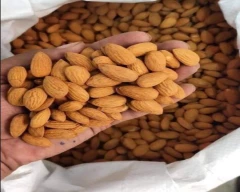 American Almond for sale in Gurugram (Gurgaon)