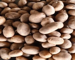 Chipsona Potato for sale in Lakhimpur