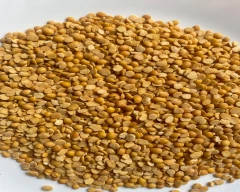Indian Tur Dal for sale in Jalandhar