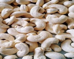 W - 240 Cashew for sale in Guntur