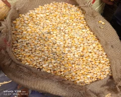 B Grade Quality Maize for sale in Bongaigaon