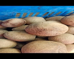 Normal Copra for sale in Srikakulam
