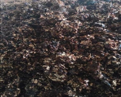 A Grade Quality Tamarind for sale in Nashik