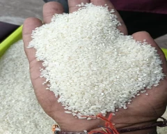 Broken Rice for sale in Thane