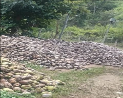Desiccated Coconut required in Krishnagiri