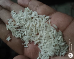 Normal Rice for sale in Lucknow