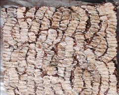 A Grade Quality Tamarind for sale in Annamayya