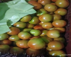 A Grade Quality Tomato for sale in Chitradurga