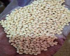 Indian Urad Dal for sale in Virudhunagar