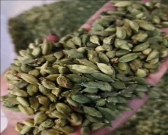 6 - 7MM Cardamom for sale in Idukki