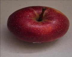 Kashmiri Apple for sale in Ahmedabad