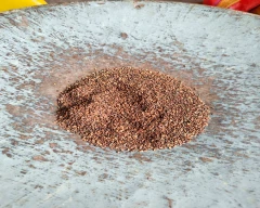 Normal Sesame for sale in Murshidabad