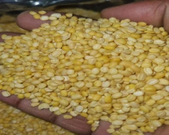 A Grade Quality Moong Dal for sale in Ahmedabad