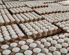 White Egg for sale in Amreli