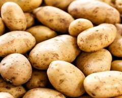 Jyoti Potato for sale in Hooghly