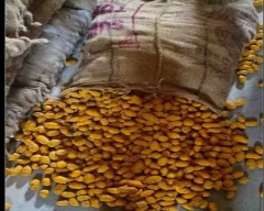 Bulb Turmeric for sale in Nalgonda