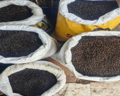 10+ Pepper for sale in Nalgonda