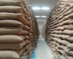 Indian Urad Dal for sale in Mumbai City