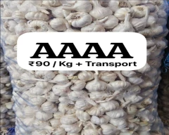 A Grade Quality Garlic required in Nashik