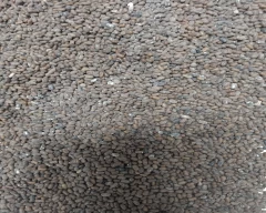 Seed Dhaincha for sale in Bundi