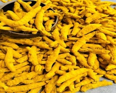 Dry Finger Turmeric for sale in Bijnor