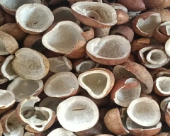 A Grade Quality Copra for sale in Coimbatore