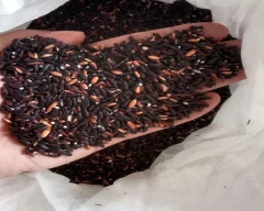 Black Rice for sale in Imphal East