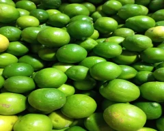 A Grade Quality Lemon for sale in Chennai
