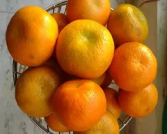 Nagpuri Orange for sale in Akola