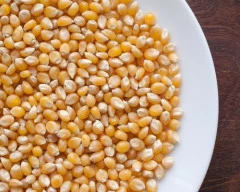B Grade Quality Maize required in Mumbai City