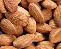 California Almond required in Azamgarh