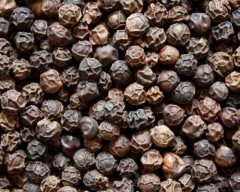 9+ Pepper required in Gorakhpur