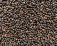 Ungarbled Pepper required in Kodagu