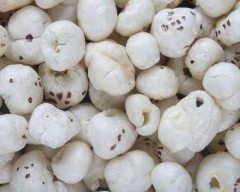 6+ HP Makhana for sale in Purnia