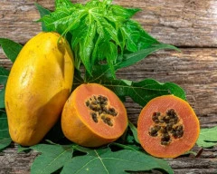 Number 15 Papaya for sale in Nashik