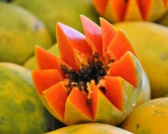 Red Lady Taiwan 786 Papaya for sale in Beed