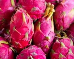White Dragon Fruit for sale in Mumbai City