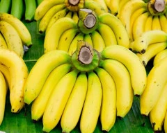 G-9 Banana required in Mumbai City
