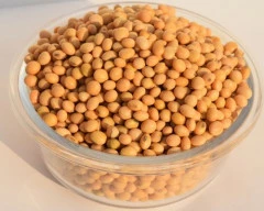 Dried Soyabean required in Kolkata