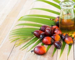 Normal Palm Oil required in Patna