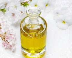 RBD Palm Oil required in Mumbai City