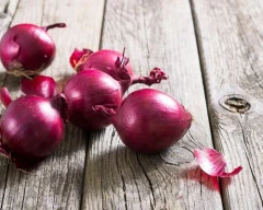 Red Onion for sale in Rajgarh