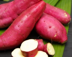 Normal Sweet Potato for sale in Ranchi