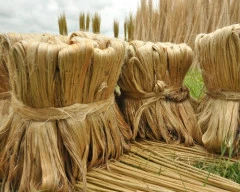 B Grade Quality Jute for sale in North 24 Parganas