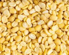 A Grade Quality Moong Dal for sale in Akola