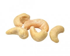 W - 180 Cashew required in Bengaluru Urban