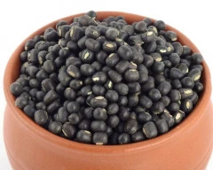 Black Urad for sale in Vidisha