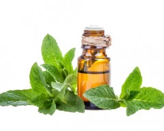 Normal Mentha Oil required in Aligarh